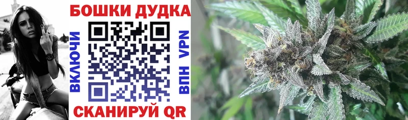 Каннабис план  Лакинск 
